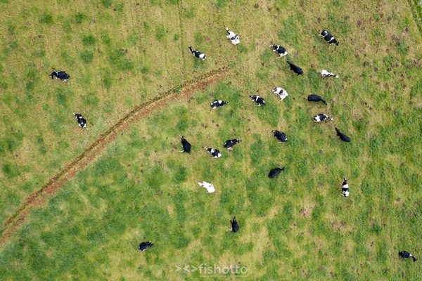 Aerial — foto 37