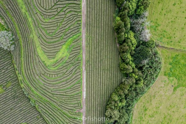 Aerial — foto 4