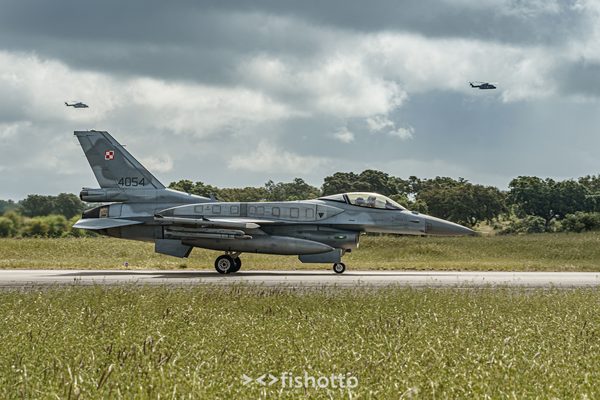 NTM21 Nato Tiger Meet color — foto 10