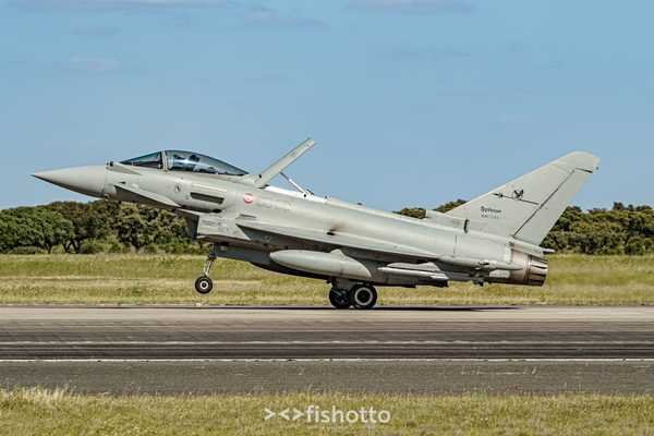 NTM21 Nato Tiger Meet color — foto 101