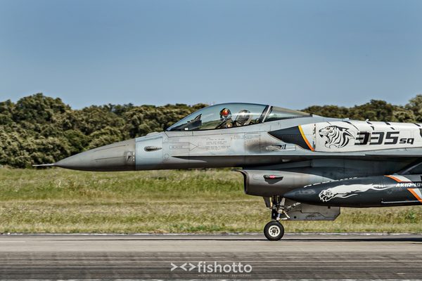 NTM21 Nato Tiger Meet color — foto 104