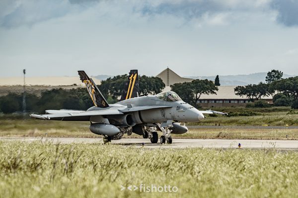 NTM21 Nato Tiger Meet color — foto 11