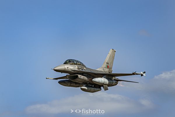 NTM21 Nato Tiger Meet color — foto 110