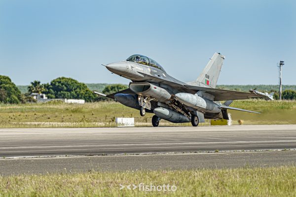 NTM21 Nato Tiger Meet color — foto 111