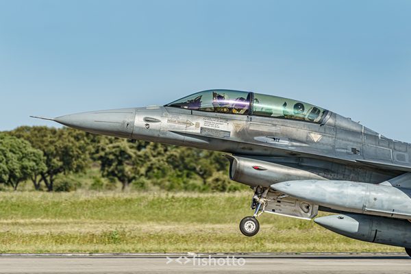 NTM21 Nato Tiger Meet color — foto 112