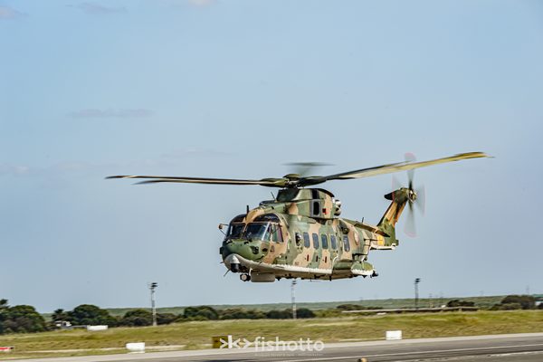 NTM21 Nato Tiger Meet color — foto 113