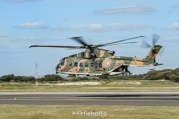 NTM21 Nato Tiger Meet color — foto 114