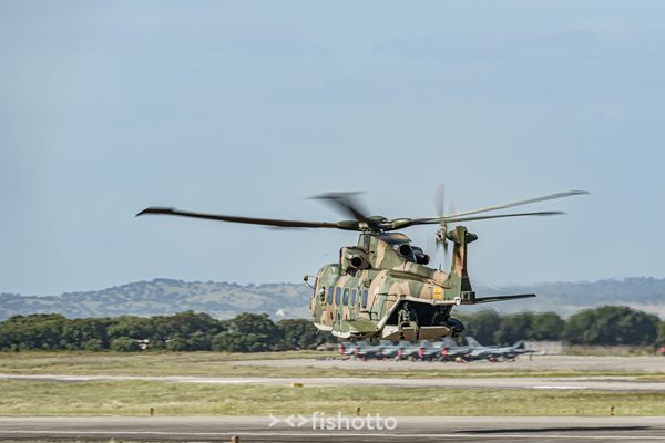 NTM21 Nato Tiger Meet color — foto 115
