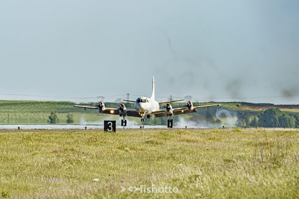 NTM21 Nato Tiger Meet color — foto 116