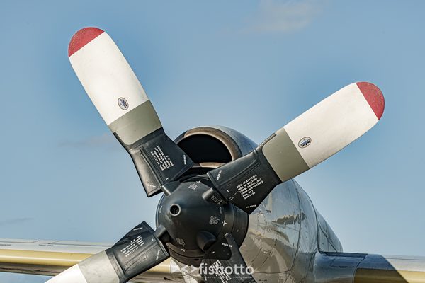 NTM21 Nato Tiger Meet color — foto 117