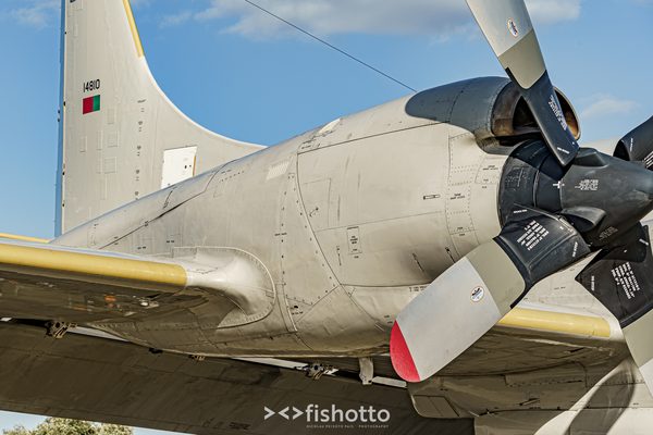 NTM21 Nato Tiger Meet color — foto 118