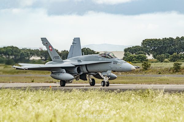 NTM21 Nato Tiger Meet color — foto 12