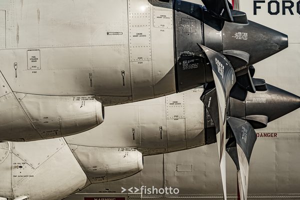 NTM21 Nato Tiger Meet color — foto 120