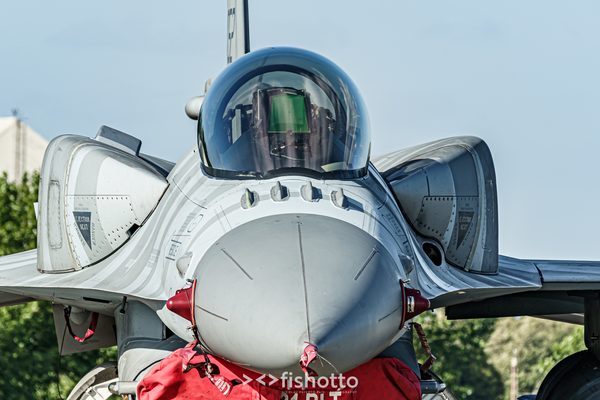 NTM21 Nato Tiger Meet color — foto 123