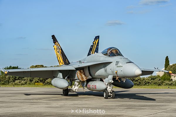 NTM21 Nato Tiger Meet color — foto 124
