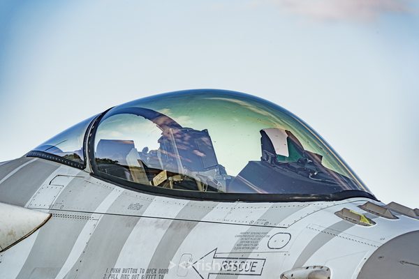 NTM21 Nato Tiger Meet color — foto 126
