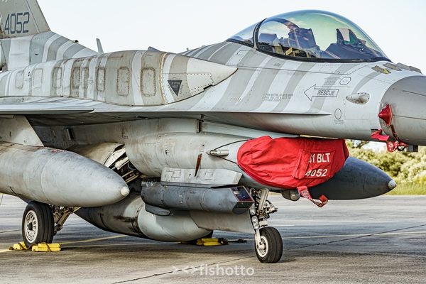 NTM21 Nato Tiger Meet color — foto 127