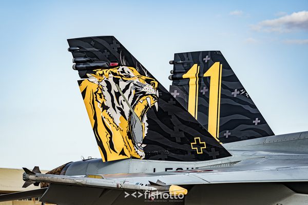 NTM21 Nato Tiger Meet color — foto 128