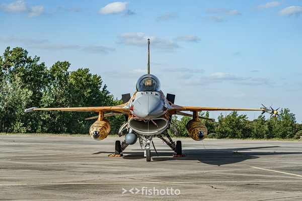 NTM21 Nato Tiger Meet color — foto 129