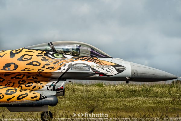 NTM21 Nato Tiger Meet color — foto 13