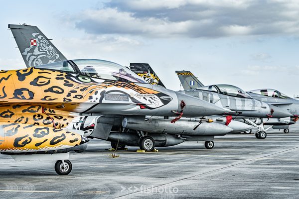 NTM21 Nato Tiger Meet color — foto 130