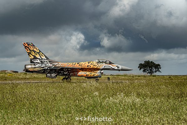 NTM21 Nato Tiger Meet color — foto 14