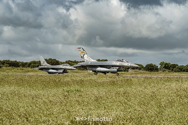 NTM21 Nato Tiger Meet color — foto 15