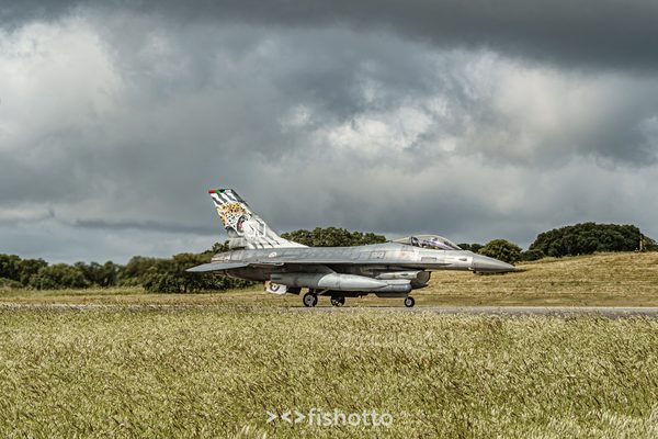 NTM21 Nato Tiger Meet color — foto 16