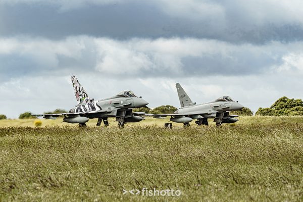 NTM21 Nato Tiger Meet color — foto 17