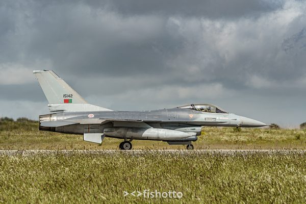 NTM21 Nato Tiger Meet color — foto 18