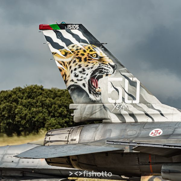 NTM21 Nato Tiger Meet color — foto 19