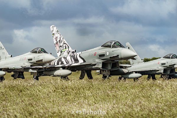 NTM21 Nato Tiger Meet color — foto 20