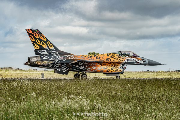 NTM21 Nato Tiger Meet color — foto 21