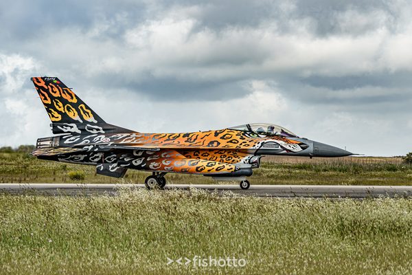NTM21 Nato Tiger Meet color — foto 22