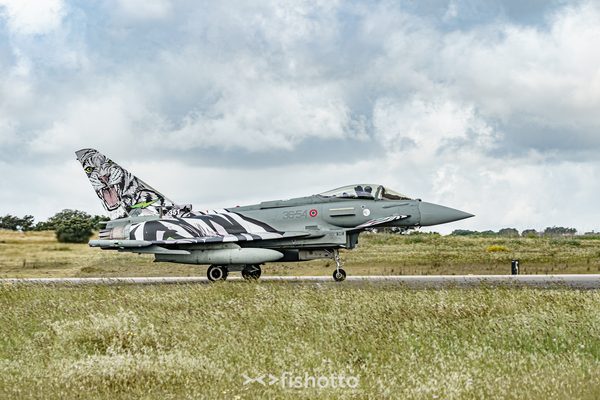 NTM21 Nato Tiger Meet color — foto 23