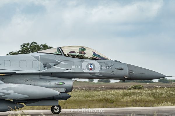NTM21 Nato Tiger Meet color — foto 25