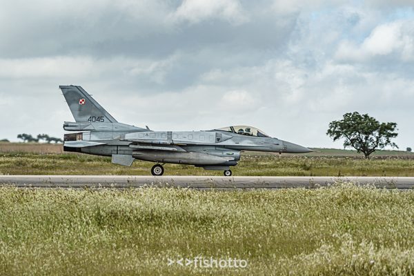 NTM21 Nato Tiger Meet color — foto 26