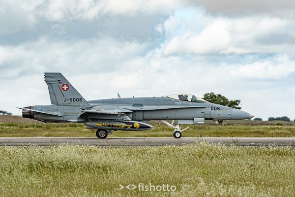 NTM21 Nato Tiger Meet color — foto 27