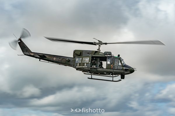 NTM21 Nato Tiger Meet color — foto 29