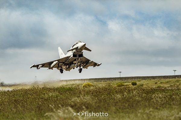 NTM21 Nato Tiger Meet color — foto 3