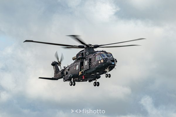 NTM21 Nato Tiger Meet color — foto 30