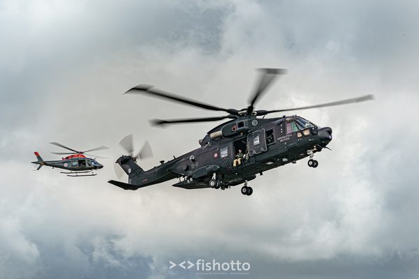 NTM21 Nato Tiger Meet color — foto 31