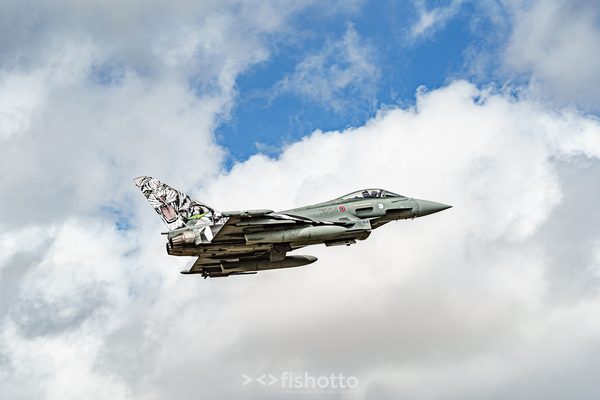 NTM21 Nato Tiger Meet color — foto 33
