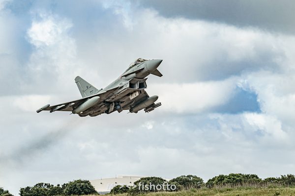 NTM21 Nato Tiger Meet color — foto 34