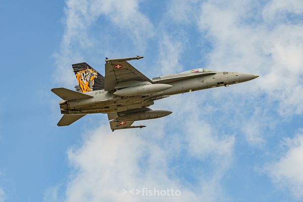 NTM21 Nato Tiger Meet color — foto 39