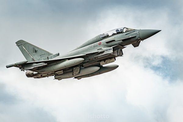NTM21 Nato Tiger Meet color — foto 4