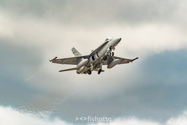 NTM21 Nato Tiger Meet color — foto 41