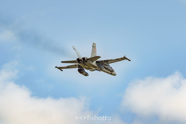 NTM21 Nato Tiger Meet color — foto 43