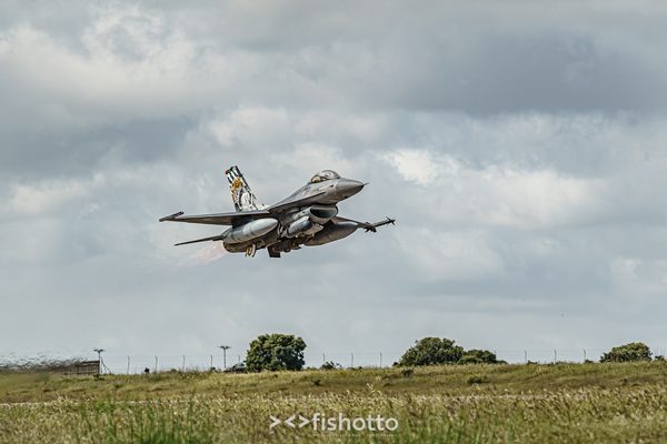 NTM21 Nato Tiger Meet color — foto 44