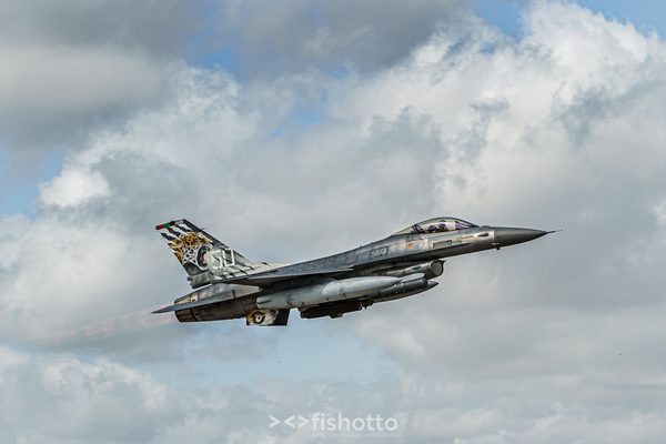 NTM21 Nato Tiger Meet color — foto 45